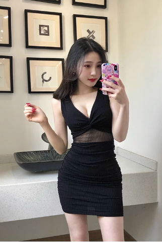 Stylish Sleeveless Bodycon Dress with Mesh Insert Detail