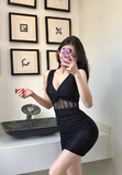 Stylish Sleeveless Bodycon Dress with Mesh Insert Detail