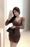 Elegant Brown Bodycon Dress with Sheer Puff Sleeves
