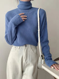 Long Sleeve Versatile Turtle Neck Pullover Sweater