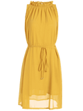 Pretty Ruffled Neck Sleeveless Chiffon Dress