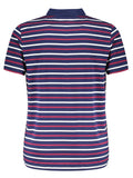 Trendy Stripe Polo Shirt