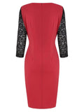Elegant Embroidered Lace Panel Bodycon Dress