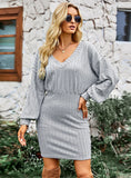 WINTER LONG SLEEVE HIP DRESS