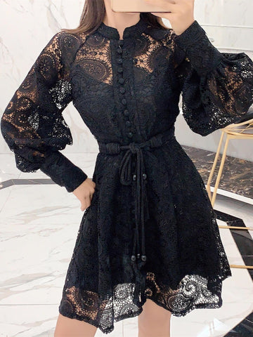 Lantern Sleeves Embroidered Lace Runway Dress Hollow Dress