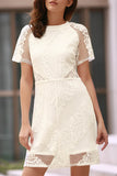 Openwork Lace Hook White Dress