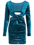 Pretty Pluging Neck Cutout Velvet Dress