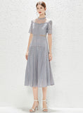 SHORT-SLEEVED PERSPECTIVE LACE DRESS