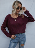 DOTTED PULLOVER HOLES SWEATER