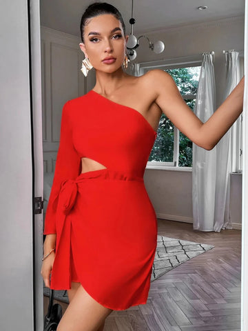 SEXY OPENWORK LONG SLEEVE DRESS