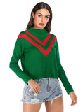 FASHION PULLOVER TURTLE NECK SWEATER