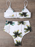 Palm Tree Print High Waisted Bikini Set