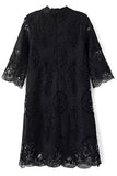Openwork Stand Collar 3/4 Sleeve Lace Dress