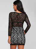 Plunging Neck Long Sleeve Lace Party Dress