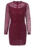 Lace Ruff Collar Mini Dress