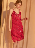 Nightclub Sequined Fringed Dress