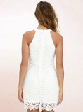 Halter Neck Sleeveless Sheath Bodycon Lace Dress