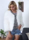 Women Leisure Coat Female Faux Fur Ostrich Hair 