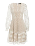 Embroidery Long Sleeves Sexy Mesh Lace Vintage Polka Dot Short Dress