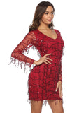 SEXY GAUZE LONG SLEEVE FRINGED SEQUINED DRESS