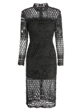 Long Sleeve Geometric Lace Dress