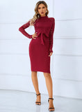 ROUND NECK LACE LONG SLEEVES DRESS