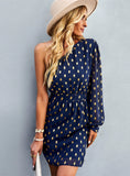 WOMEN CHIFFON ONE SHOULDER LONG SLEEVE DRESS