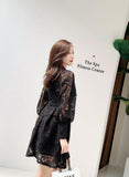 Lantern Sleeves Embroidered Lace Runway Dress Hollow Dress