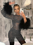 Mesh Fashion Sexy Women's Dress