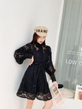 Lantern Sleeves Embroidered Lace Runway Dress Hollow Dress