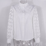 White Lace Long Sleeve V-neck Lace Shirt