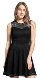 Women's A-Line Pleated Sleeveless Little Cocktail Party Dress with Floral Lace