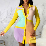 Colorblock Long Sleeve Buttoned Casual Shirt Dress