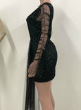 Draped Glitter One Shoulder Sheer Mesh Ruched Dress