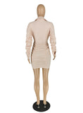 Ruched Women Full Sleeve Turn Down Collar Bodycon Dress