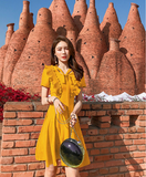 Flounce Flare Sleeve V Neck Chiffon Dress