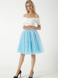 Blue + White 5 Layer Mesh Tutu Skirt