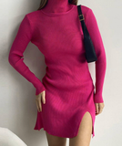 Winter Woman Knitted Dress Office Ladies Turtleneck Bodycon Dresses Split Mini Knitting Dress