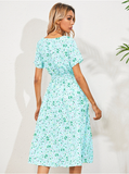 Chiffon Dress Summer Dress Casual V-neck Short-sleeved A-line Beach Long Robe Dress