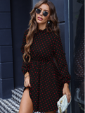 red polka-dot dark stripe waist-shrinking bubble sleeve dress