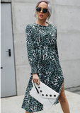 Leopard print high waist long sleeve split dress