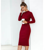 Fashion Women's Sexy Turtleneck Bodycon Solid Slim Dress